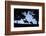 Father and Son Riding Horses-William P. Gottlieb-Framed Photographic Print