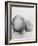 Father and Three Month Old Baby Girl-Amanda Hall-Framed Photographic Print