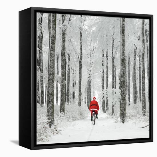 Father Christmas on a Bicycle in Snow-null-Framed Premier Image Canvas