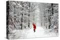 Stretched Canvas Print