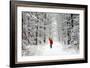 Father Christmas Riding Bicycle Through Beech-null-Framed Photographic Print