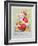 Father Christmas with Animals-Diane Matthes-Framed Giclee Print