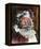 Father Christmas-Avery Tillmon-Framed Stretched Canvas