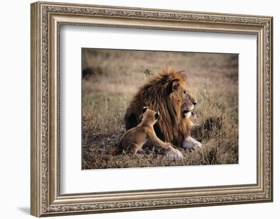 Father Knows Best-Art Wolfe-Framed Art Print