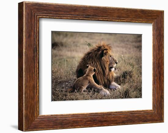 Father Knows Best-Art Wolfe-Framed Art Print