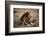 Father Knows Best-Art Wolfe-Framed Art Print