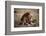 Father Knows Best-Art Wolfe-Framed Art Print