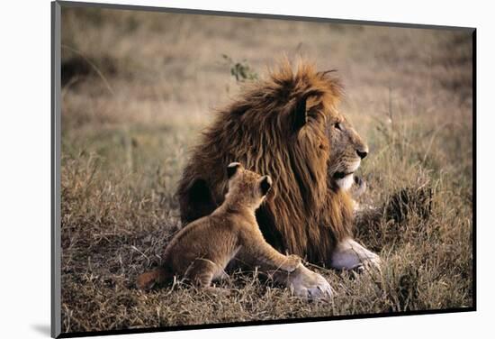 Father Knows Best-Art Wolfe-Mounted Art Print