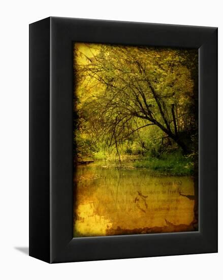 Father of Light-Cristina Carra Caso-Framed Premier Image Canvas