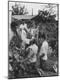 Photographic Print