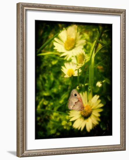 Father-Cristina Carra Caso-Framed Photographic Print