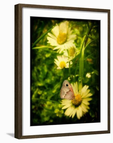 Father-Cristina Carra Caso-Framed Photographic Print