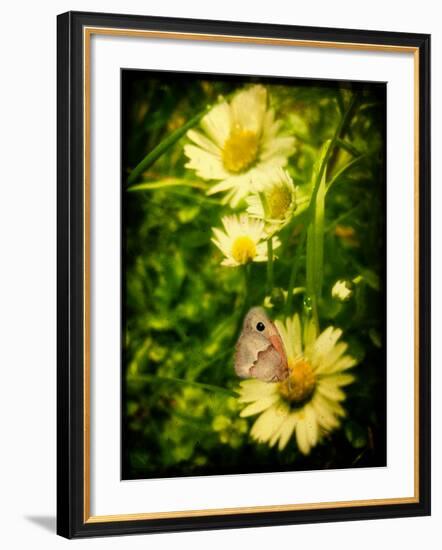 Father-Cristina Carra Caso-Framed Photographic Print