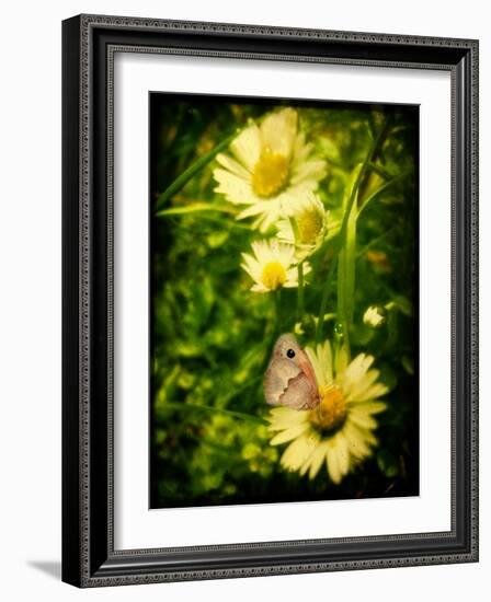 Father-Cristina Carra Caso-Framed Photographic Print