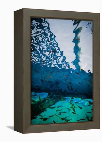 Fathoms Below-Valda Bailey-Framed Premier Image Canvas