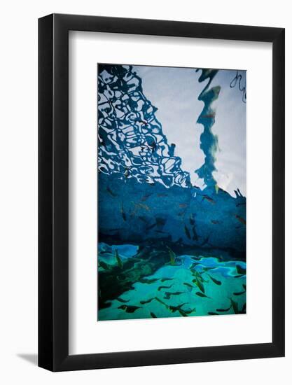 Fathoms Below-Valda Bailey-Framed Photographic Print