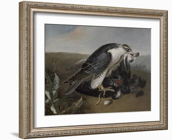 Faucon dévorant un oiseau.-Nicasius Bernaerts-Framed Giclee Print