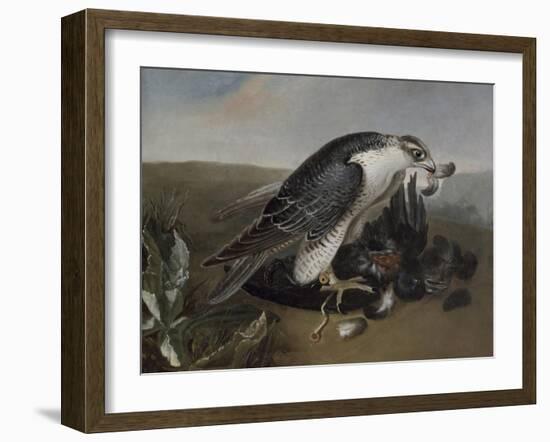 Faucon dévorant un oiseau.-Nicasius Bernaerts-Framed Giclee Print