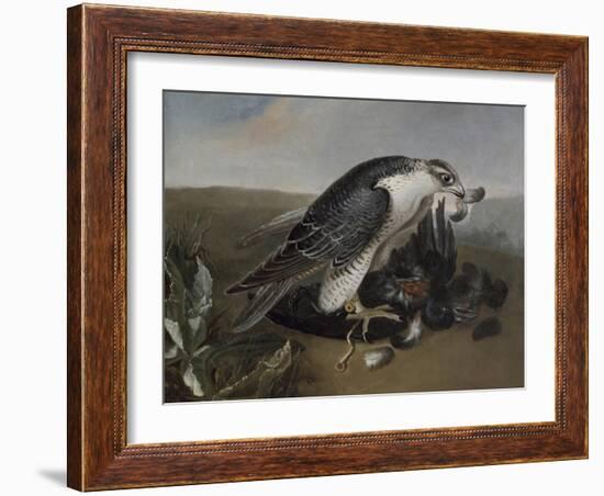 Faucon dévorant un oiseau.-Nicasius Bernaerts-Framed Giclee Print