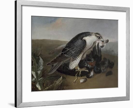 Faucon dévorant un oiseau.-Nicasius Bernaerts-Framed Giclee Print