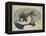 Faucon en vol-Katsushika Hokusai-Framed Premier Image Canvas