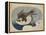 Faucon en vol-Katsushika Hokusai-Framed Premier Image Canvas