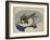 Faucon en vol-Katsushika Hokusai-Framed Giclee Print
