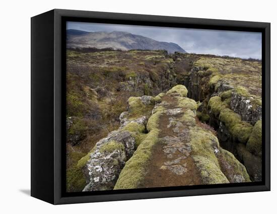 Fault in the Landscape at Thingvellir National Park Near Reykjavik, Iceland-Lee Frost-Framed Premier Image Canvas