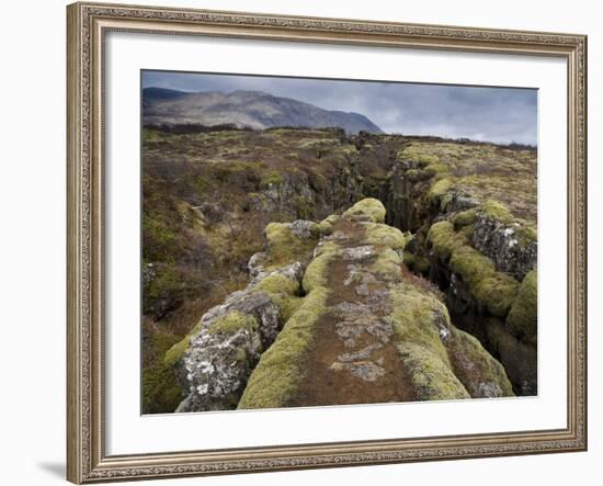Fault in the Landscape at Thingvellir National Park Near Reykjavik, Iceland-Lee Frost-Framed Photographic Print