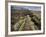 Fault in the Landscape at Thingvellir National Park Near Reykjavik, Iceland-Lee Frost-Framed Photographic Print