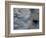 Fauna, Sea turtles, Yucatan, Mexico-Kenneth Garrett-Framed Photographic Print