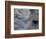 Fauna, Sea turtles, Yucatan, Mexico-Kenneth Garrett-Framed Photographic Print