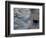 Fauna, Sea turtles, Yucatan, Mexico-Kenneth Garrett-Framed Photographic Print