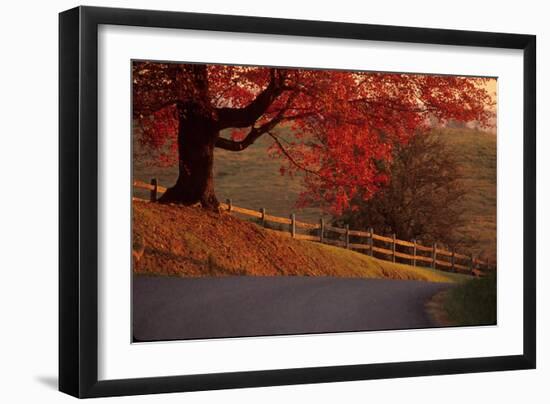 Fauquier County, Va, Scenic, Road, Farmland, 2004 (Photo)-Kenneth Garrett-Framed Giclee Print