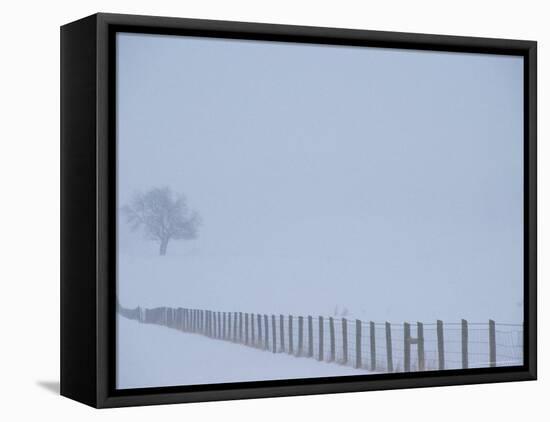 Fauquier County, Virginia, USA-Kenneth Garrett-Framed Premier Image Canvas