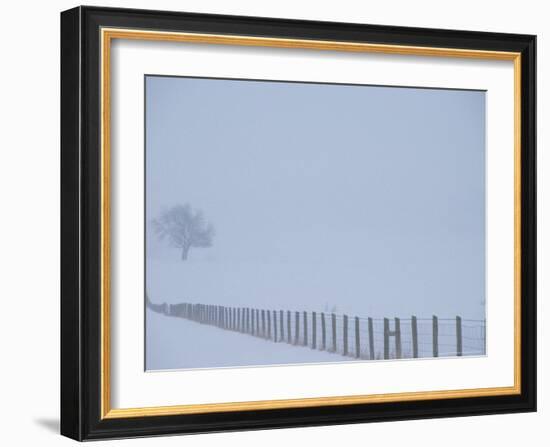 Fauquier County, Virginia, USA-Kenneth Garrett-Framed Photographic Print