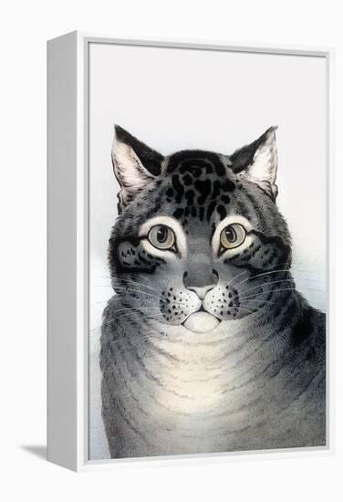 Favorite Cat-Currier & Ives-Framed Stretched Canvas