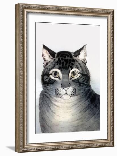 Favorite Cat-Currier & Ives-Framed Art Print