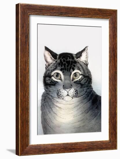 Favorite Cat-Currier & Ives-Framed Art Print