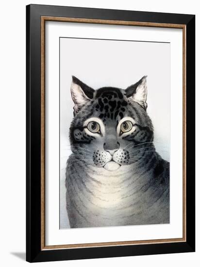 Favorite Cat-Currier & Ives-Framed Art Print