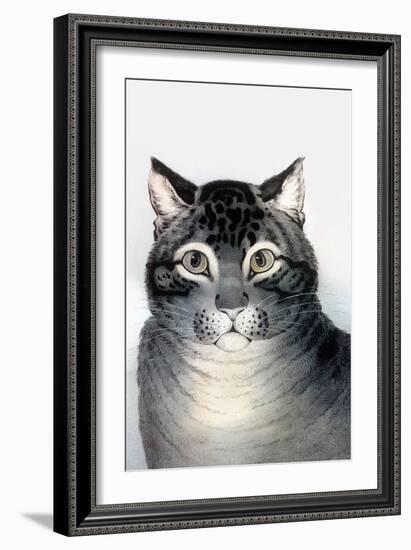 Favorite Cat-Currier & Ives-Framed Art Print