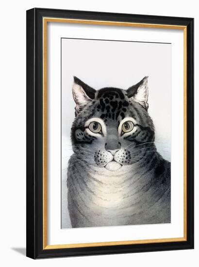 Favorite Cat-Currier & Ives-Framed Art Print