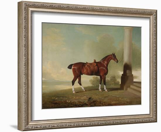 Favorite Chestnut Hunter of Lady Frances Stephens (Nee Lady Frances Pierrepont), 1799 (Oil on Canva-Benjamin Marshall-Framed Giclee Print