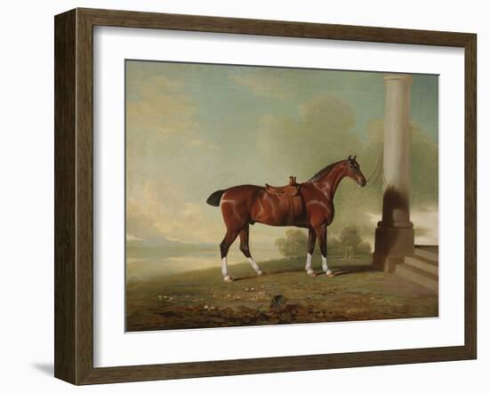 Favorite Chestnut Hunter of Lady Frances Stephens (Nee Lady Frances Pierrepont), 1799 (Oil on Canva-Benjamin Marshall-Framed Giclee Print