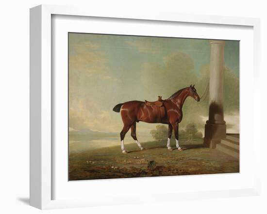 Favorite Chestnut Hunter of Lady Frances Stephens (Nee Lady Frances Pierrepont), 1799 (Oil on Canva-Benjamin Marshall-Framed Giclee Print