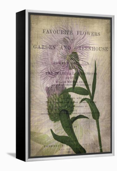 Favorite Flowers II-John Butler-Framed Stretched Canvas