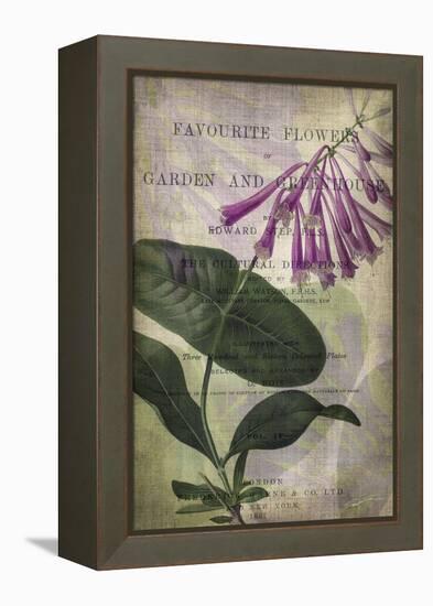 Favorite Flowers III-John Butler-Framed Stretched Canvas