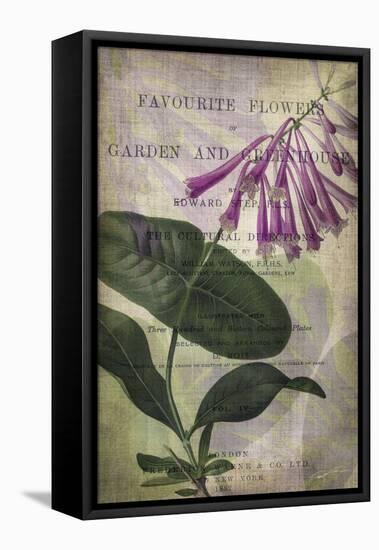 Favorite Flowers III-John Butler-Framed Stretched Canvas