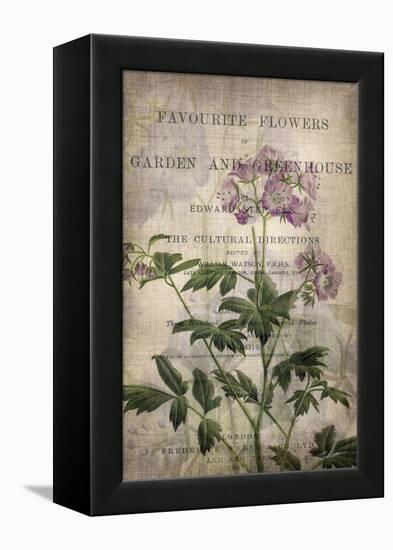 Favorite Flowers IV-John Butler-Framed Stretched Canvas