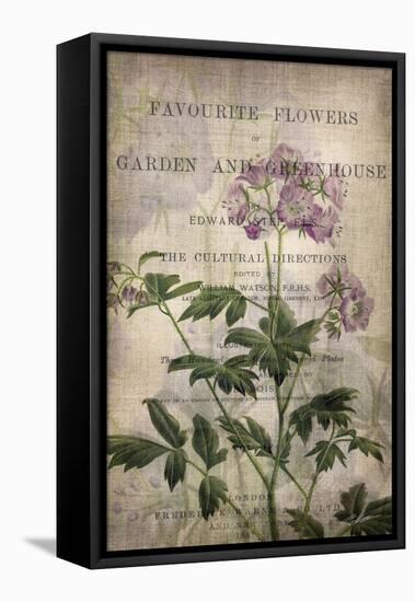 Favorite Flowers IV-John Butler-Framed Stretched Canvas